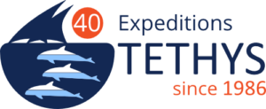 Tethys Research Institute expeditions